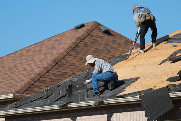 Best Skylight Installation and Repair  in Osborne, KS