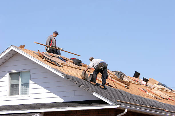 Best Metal Roofing Installation  in Osborne, KS