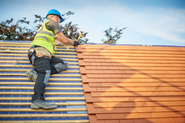 Best Solar Panel Roofing Installation  in Osborne, KS